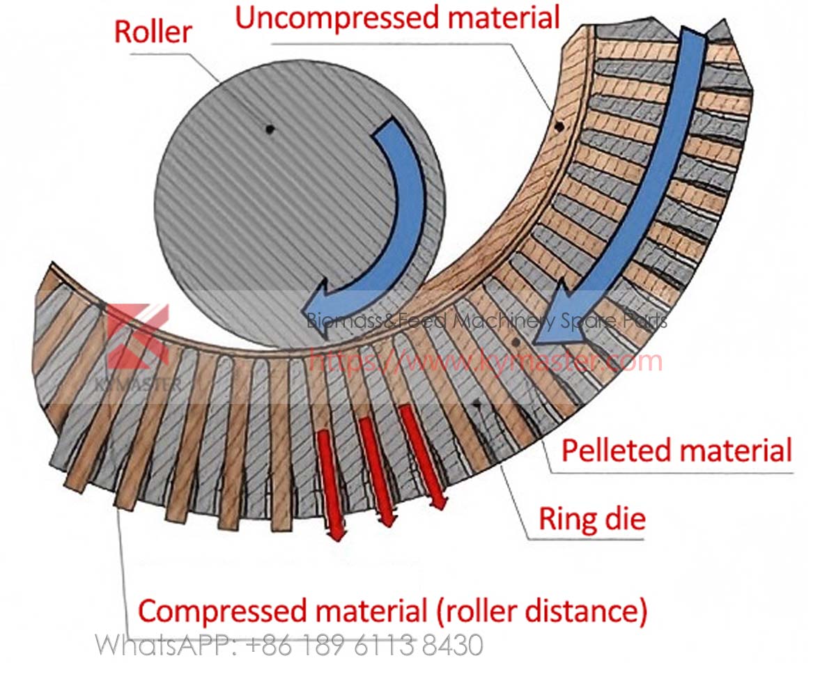 install ring die and roller 4 2
