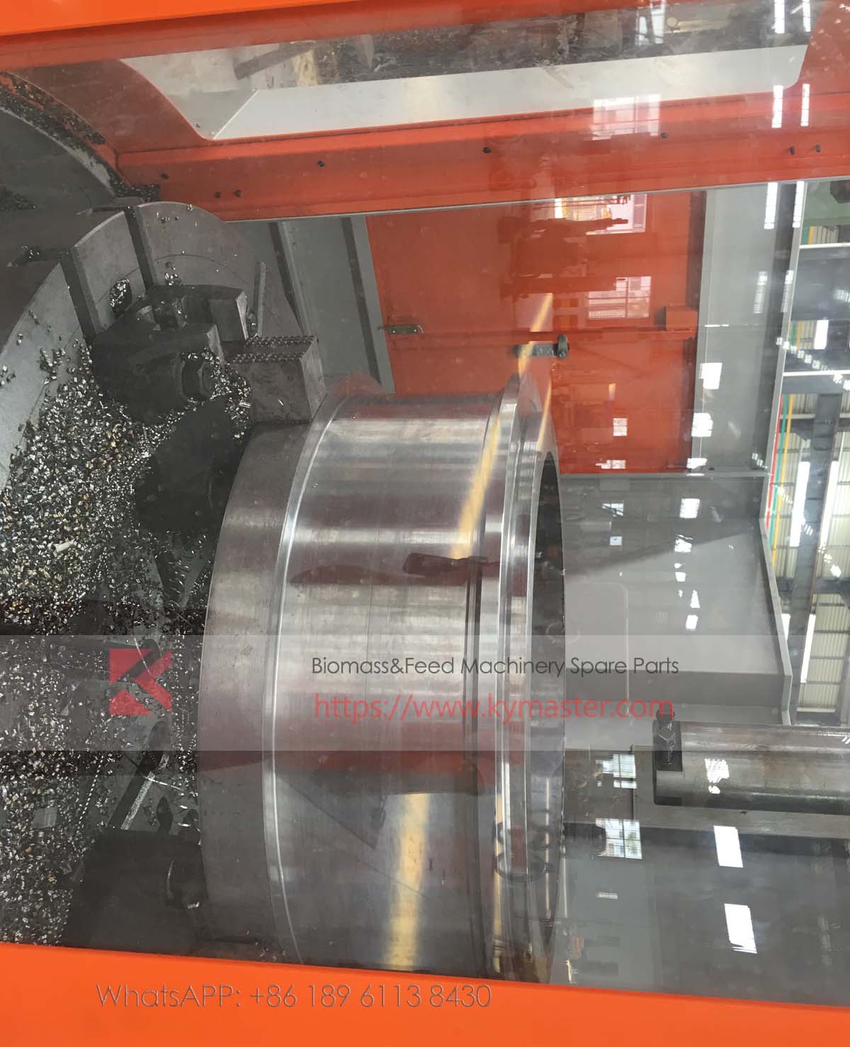 feed ring die 2